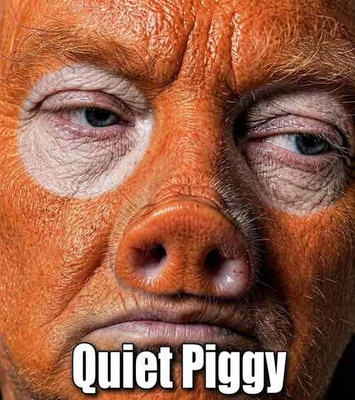 SnarkyLiberal tweet media