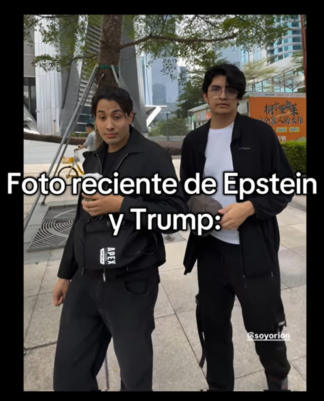 IceBee tweet media
