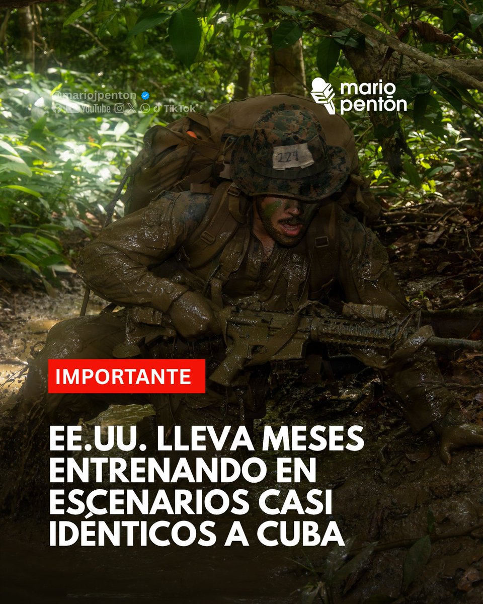 Mario J. Pentón tweet media