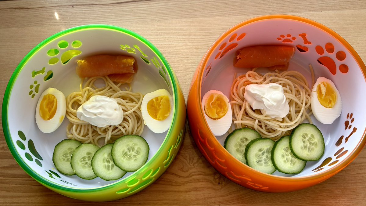 TeamTupfen's tweet photo. Wow 🤩🤩, unser #Wochenendei gab es heute mit Räucherlachs und Gurkenhappen und dazu gab es Spaghetti mit Joghurttopping ♥️♥️. War mega lecker 🐶😋🐶😋. 
@mav_cologne 
@MilchSchnitte2 https://t.co/sJ0uB9PqSd