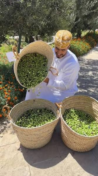 S A I | tweet media