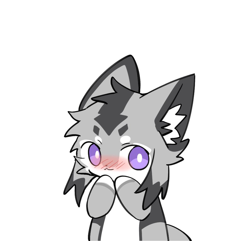 캣🐾 tweet media