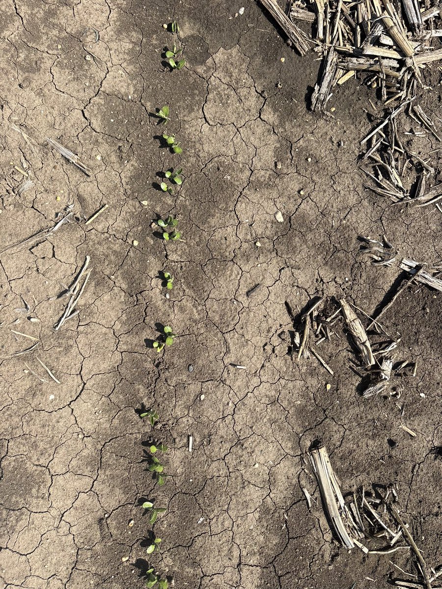 Degenerative Agriculture Advisor tweet media