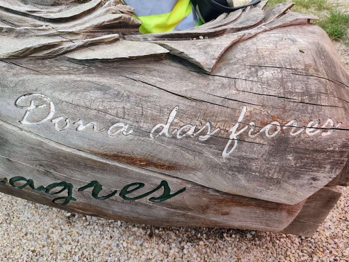 DeApelidoFlores's tweet photo. + 
Así que aínda q falta para o #LumeNovo , imos co d "Meigas fóra" q vai todo coma o caralho e non pode ser ✊🏽🆙💪🏽🆙
@nitogmoro  @ChousaAlcandra  @MontseValcarcel  @AnxoPumarega @oghrapas  @O_Armesto  @Candidotw  @profesorFP  @maruxinha3  @sarao_paula @NolasCid  
+ https://t.co/AHuuqUky7G