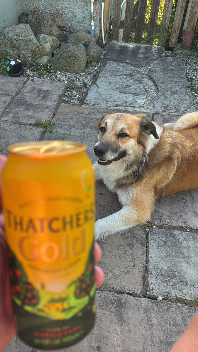 💂🏻♀️👋🏻вєαя🍻🇬🇧™ tweet media