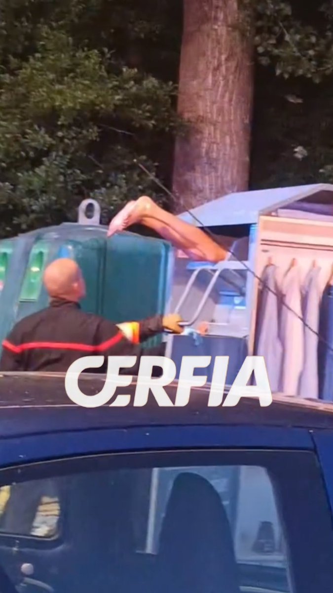 Cerfia tweet media