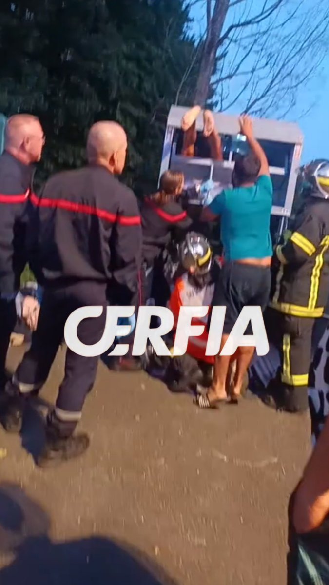 Cerfia tweet media