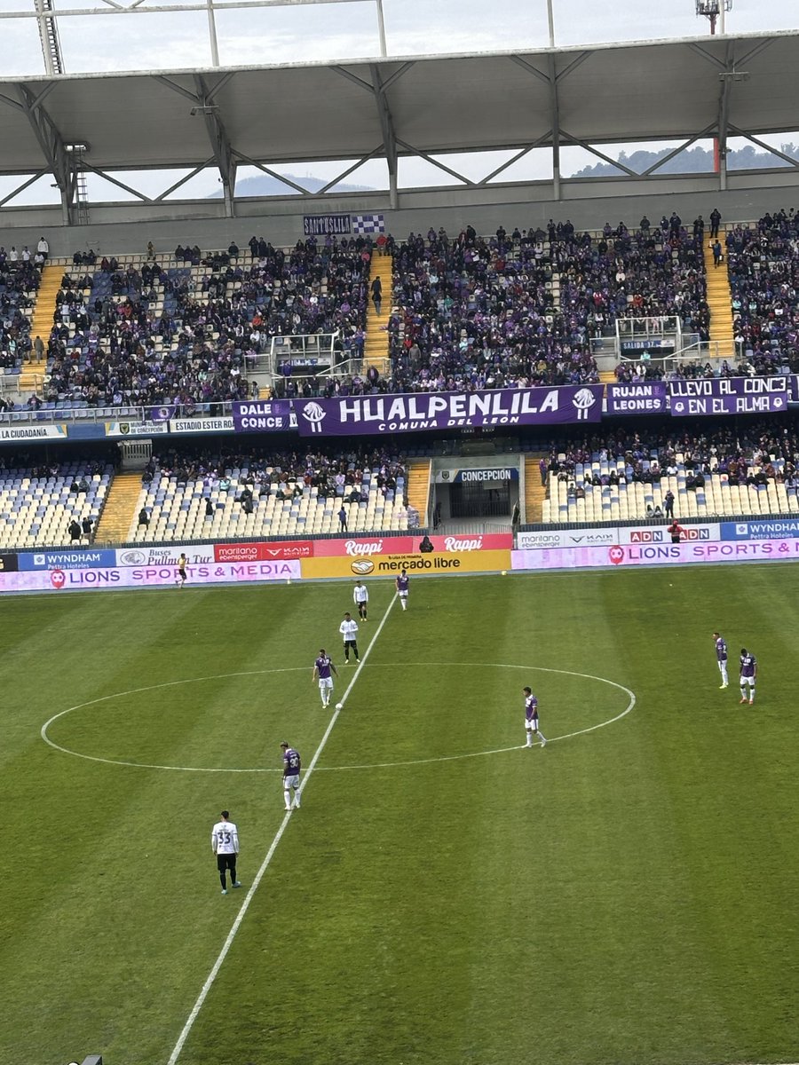 Donacaritto's tweet photo. Siempre contigo mi querido conce , siempre 🦁💜💪🏻 https://t.co/A1Ok0bWYxk