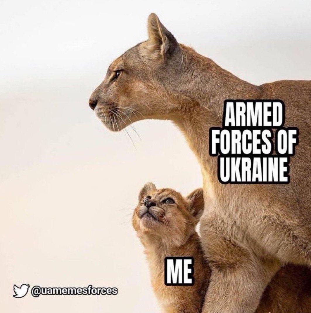 AceTheCat21's tweet photo. 💕🇺🇦 https://t.co/auTZjfswqN