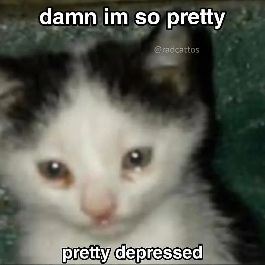 AzShrimpp's tweet photo. I'm alive guys it's been awhile but yeah
....still alive https://t.co/oSaDY9TzYI
