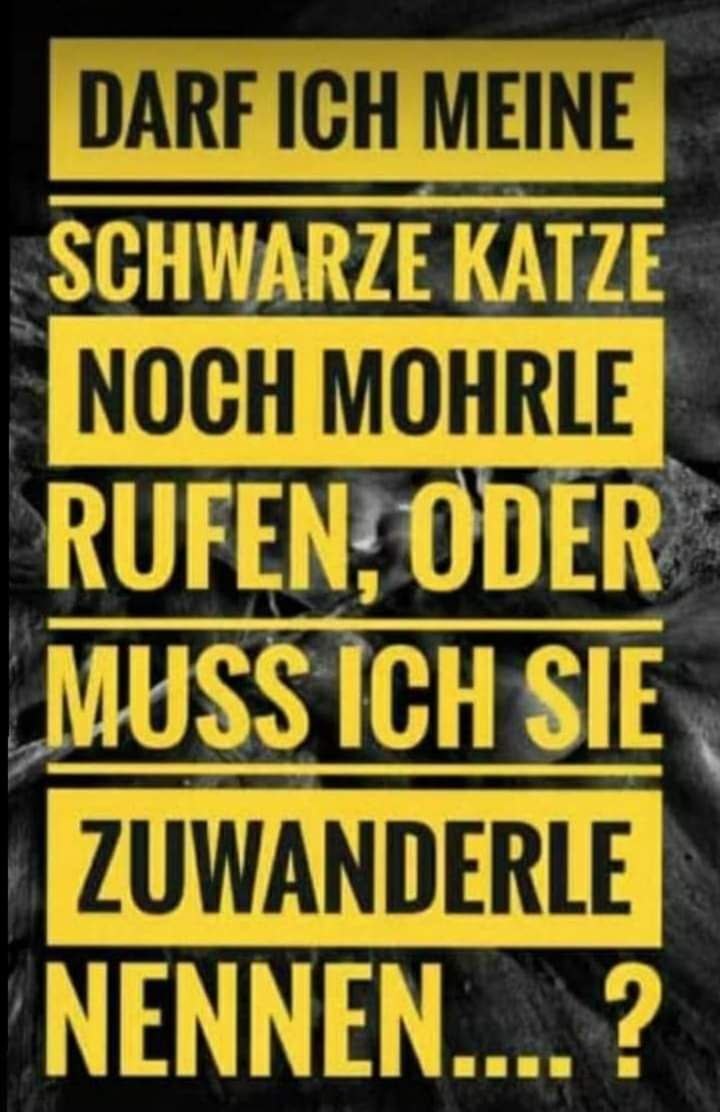 The_Stormrider_👑🇩🇪 tweet media