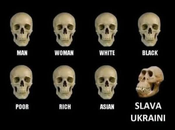 Андрей Машков tweet media