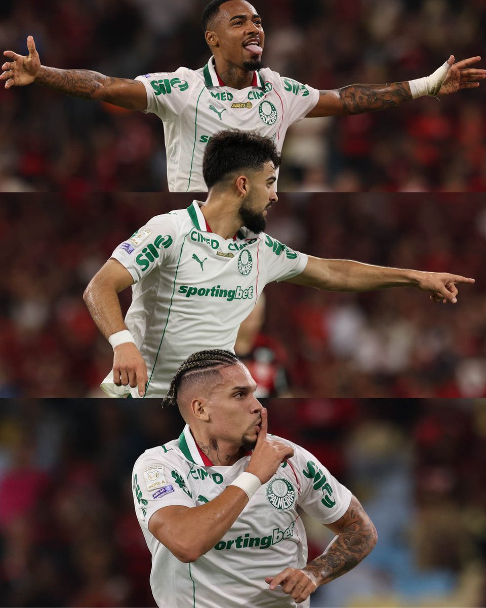 SE Palmeiras tweet media