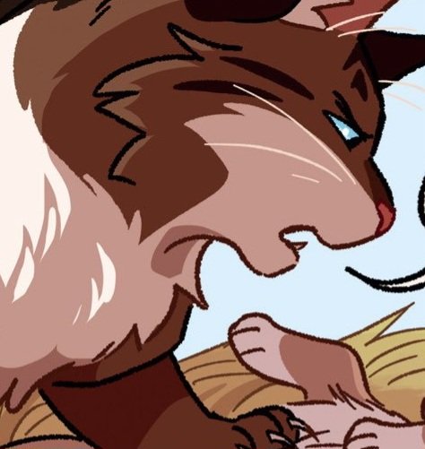 Hawkfrost ⚣ tweet media