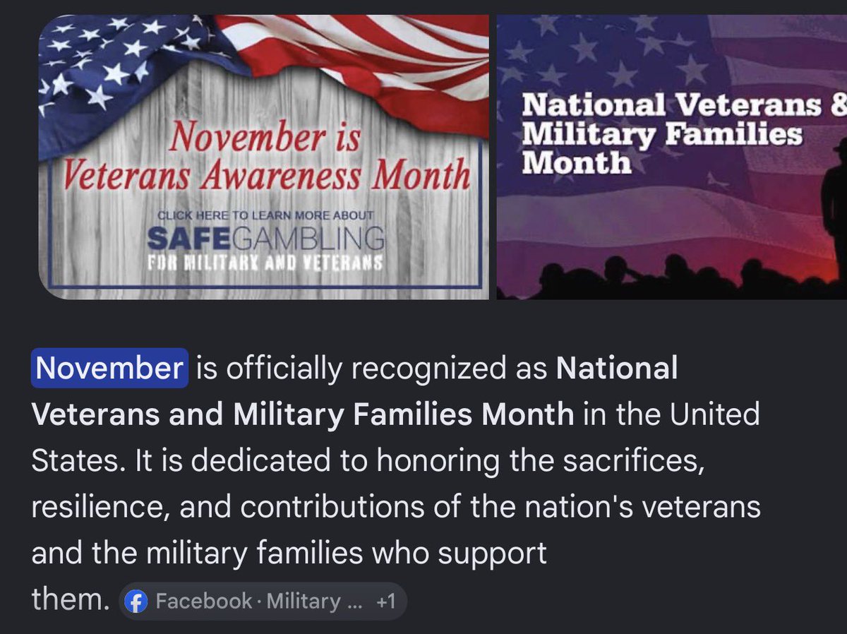 gubsup's tweet photo. @Brooklynmonk @KinaMagica A quick google search, just do a quick google search. You’d quickly learn that may is national military appreciation month and November is veterans’ month. https://t.co/i5FsPL7U9T
