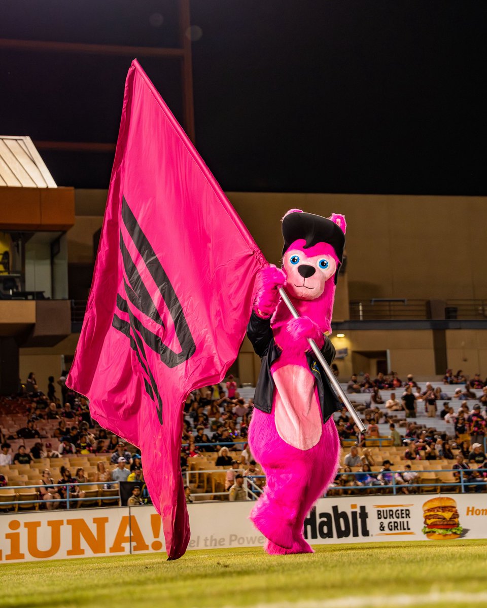 Las Vegas Lights FC tweet media