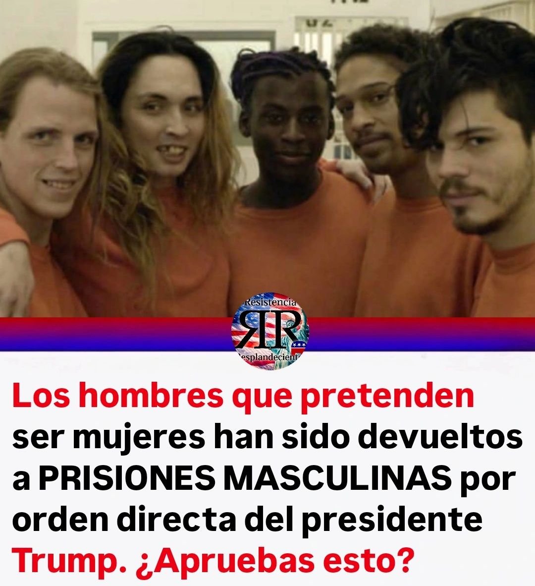 PEPE, en Español . INVICTUS MANEO.🇪🇸 🇮🇱 tweet media