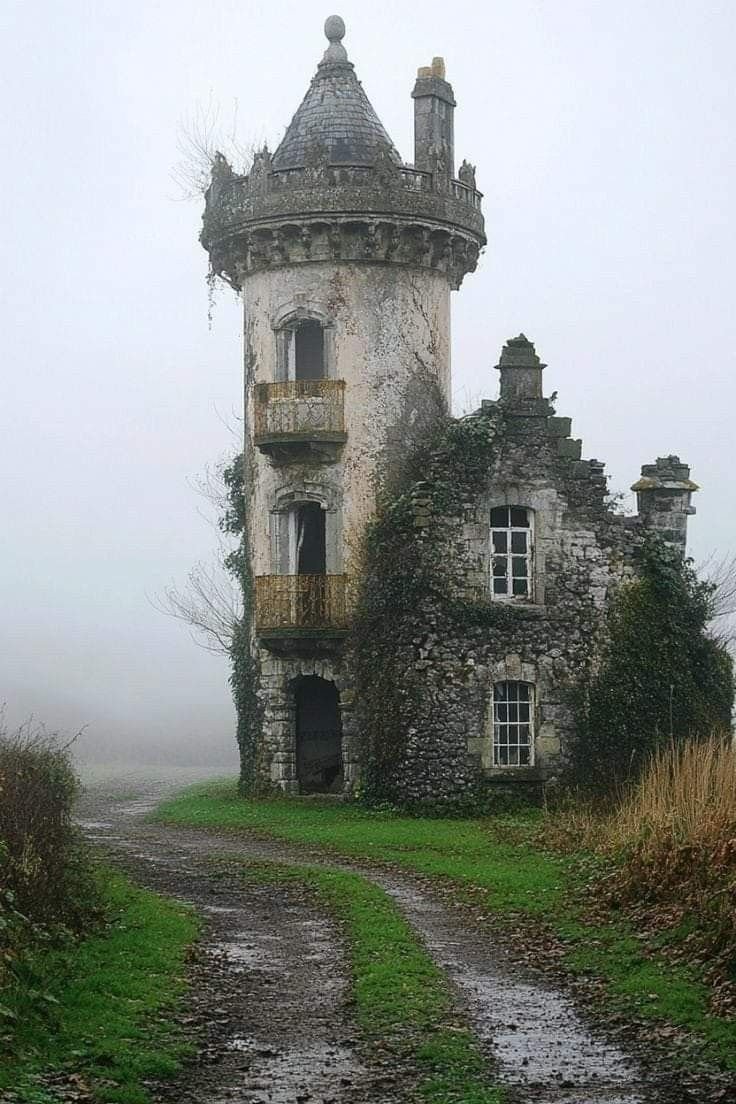 Natursee's tweet photo. Abandoned or forgotten 

İt's your choice https://t.co/gJVc7nUABH