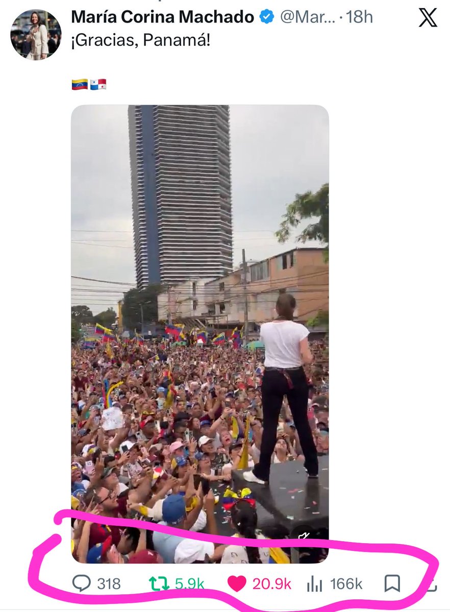 El Loro De Panamá Es Verde tweet media