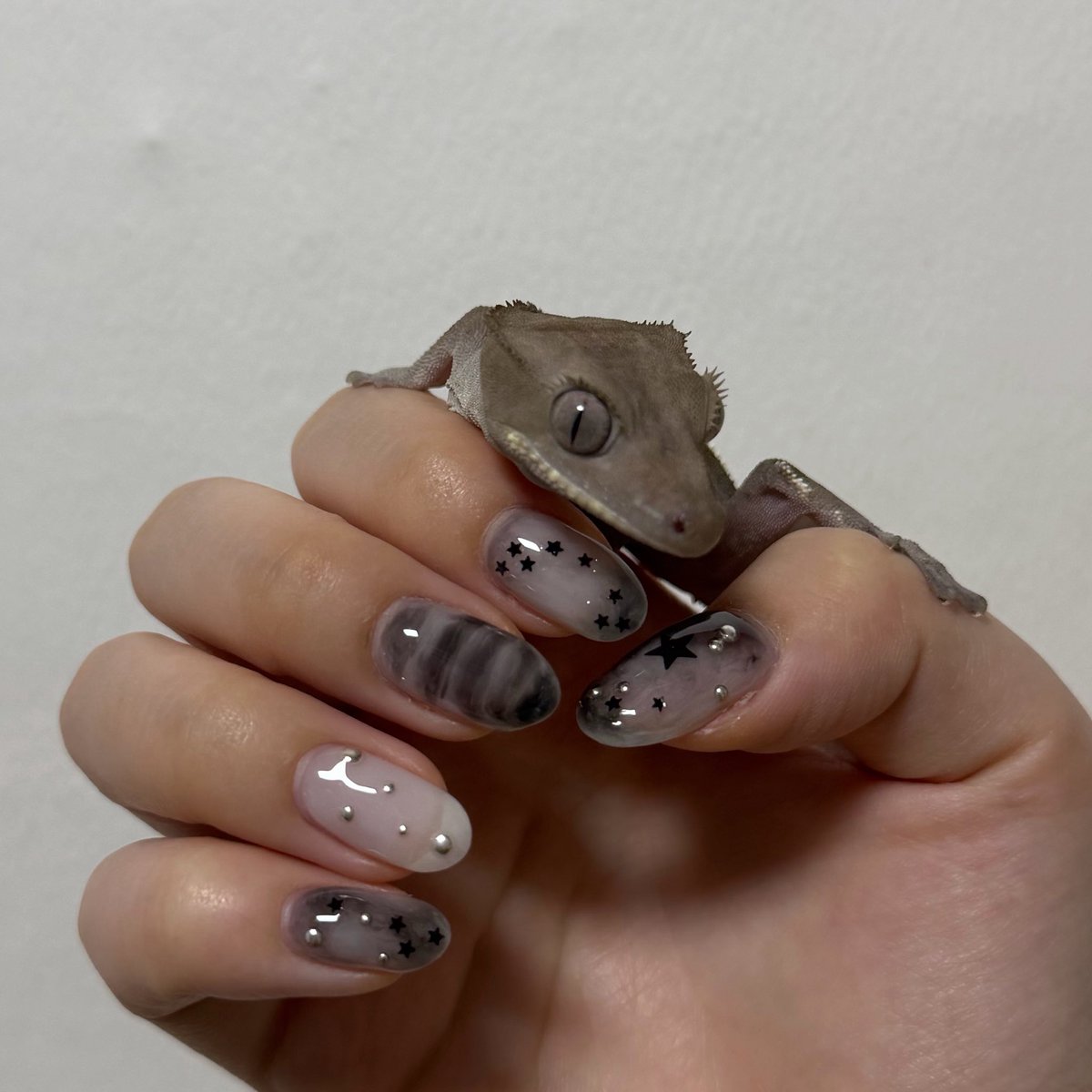 friesianwalk's tweet photo. 걍 8월까지 네일 할듯 https://t.co/dSbiPIfiaA