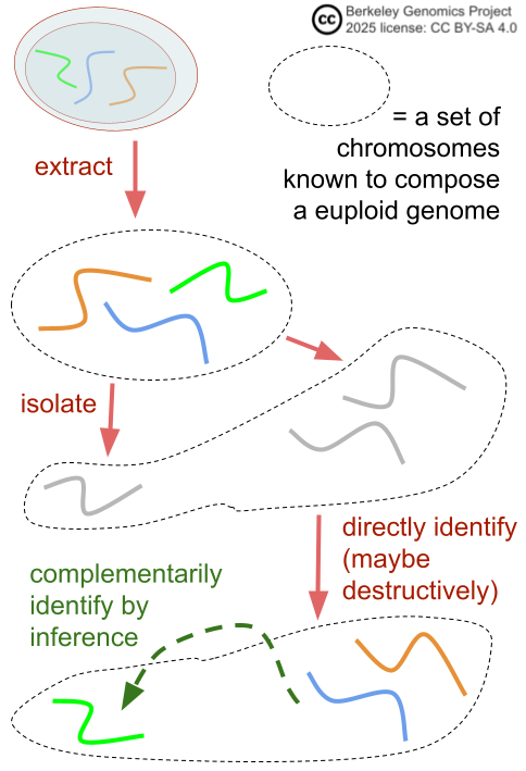 Berkeley Genomics Project tweet media