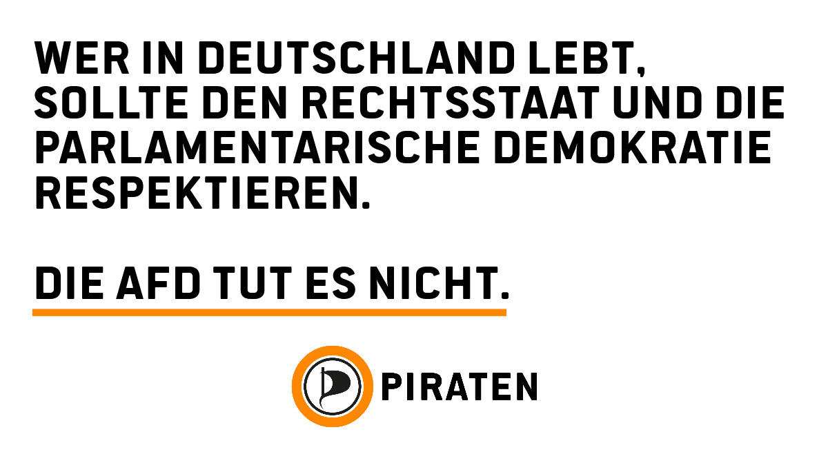 Dennis Klüver, Pirat tweet media