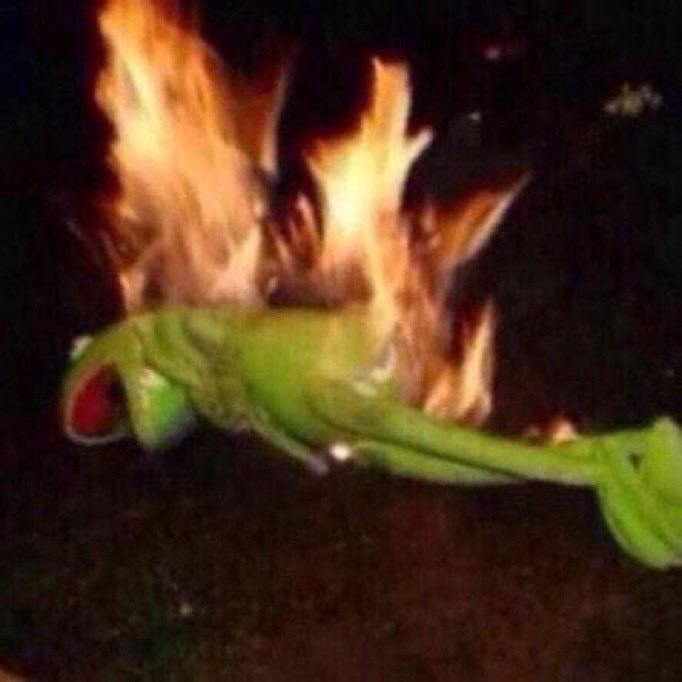 AmbientAdam's tweet photo. @TrashPandaRei I feel like this best represents it https://t.co/vpHh8QLZHN