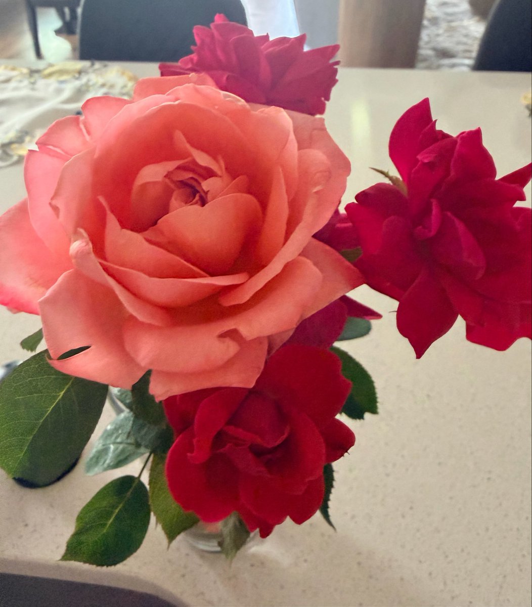 Rose Ferrell tweet media
