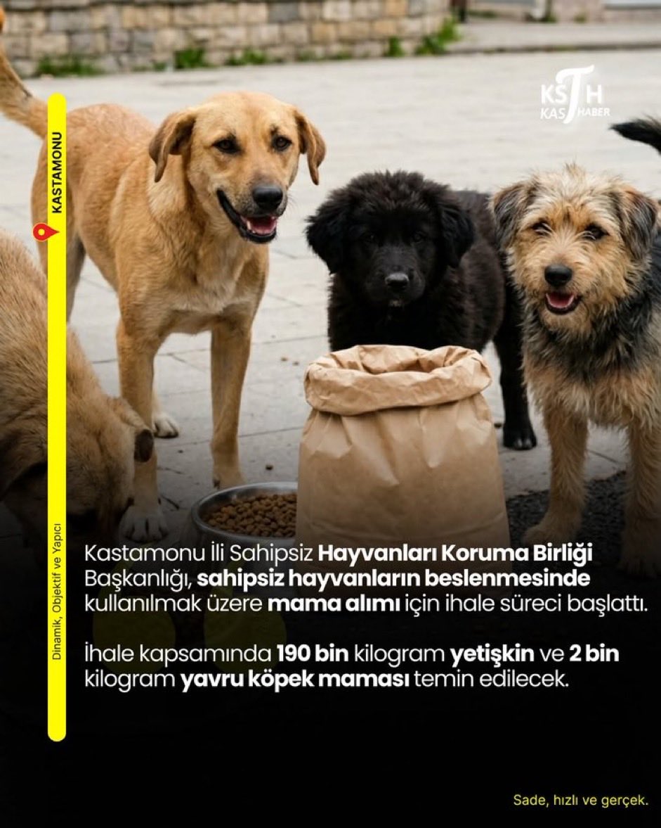 Prof Dr. Nebahat BULUT tweet media