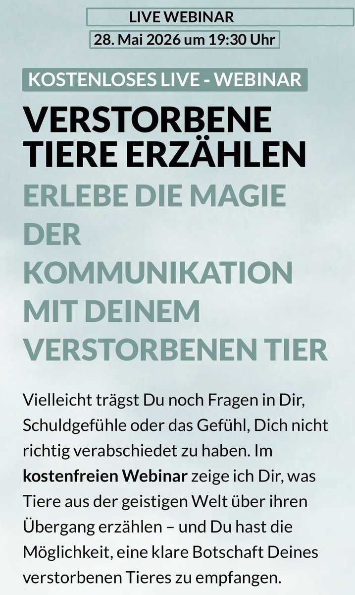 Littlewisehen tweet media