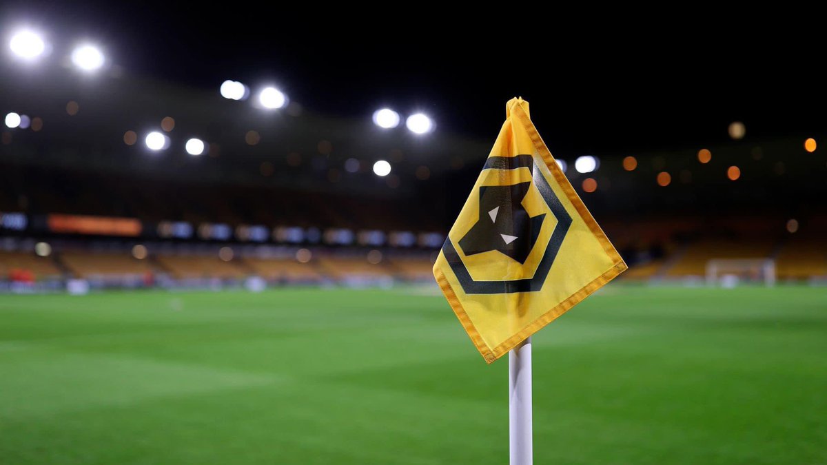 Burton🐺 tweet media