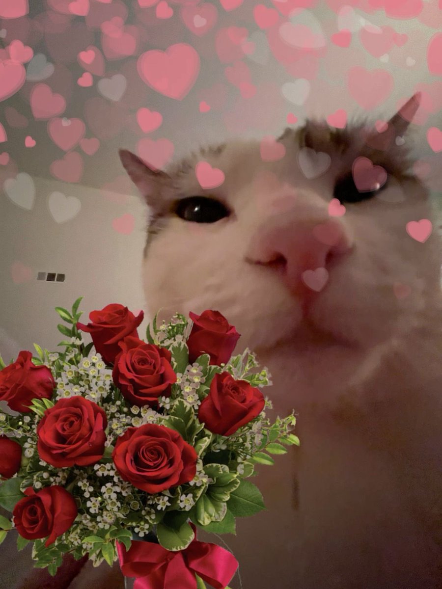 𝓜 ྀི𓂃 ࣪˖ ִֶཐི༏ཋྀ tweet media