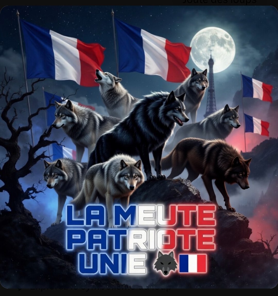 Mad🗡️Max - De FRANCE🇨🇵 tweet media