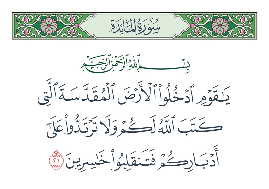 عيديت بار Idit Bar tweet media