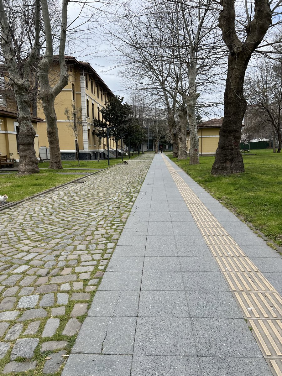 Sude Özdal tweet media