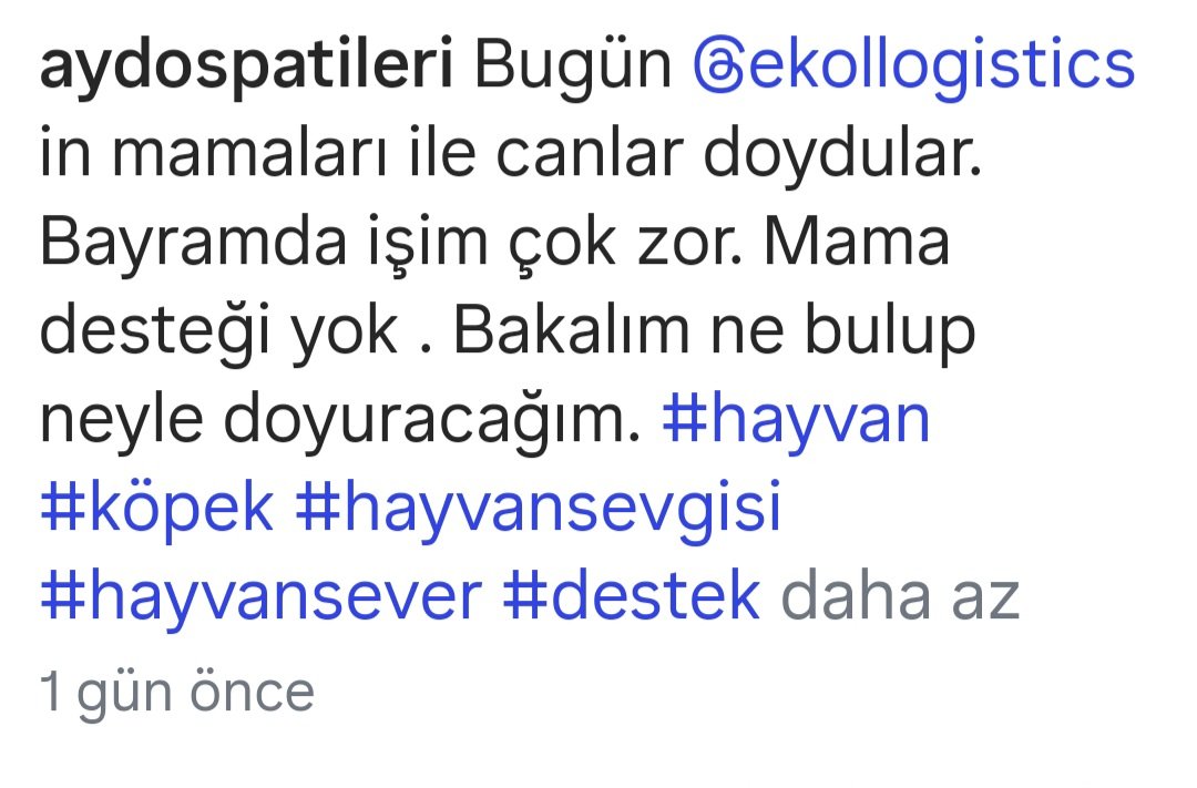 Kyra 🇹🇷 tweet media