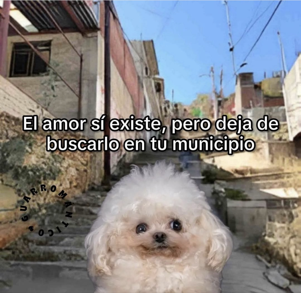 El Guarromántico tweet media