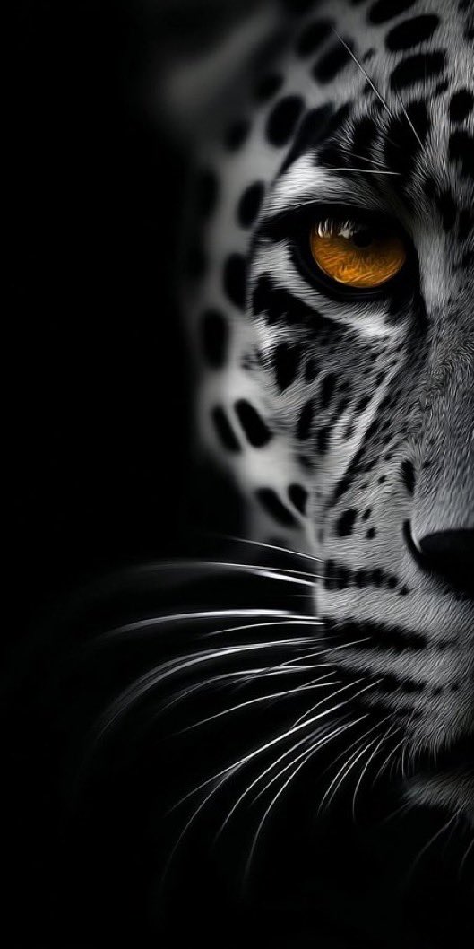 photonmore's tweet photo. صور / خلفيات جديدة HD ⚡️🔥

 #صور #خلفيات #صورة_اليوم #جوال #طبيعة #تقنية #ألعاب #انميات #قهوة #مباريات_اليوم #متابعة #حصرياتّ #صباح_الخير #ديكورات #جديد https://t.co/s4i2D3RVjV