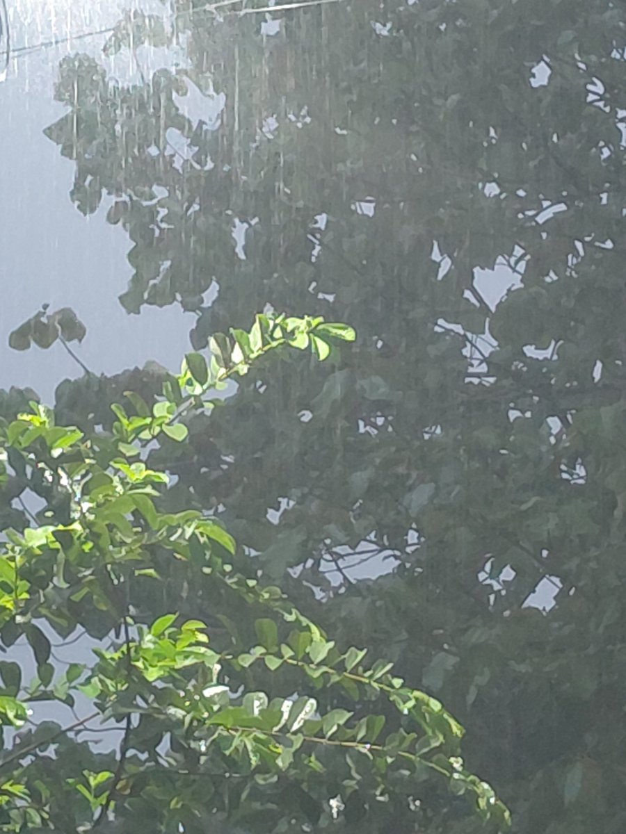 Khinhtet626613's tweet photo. #Day299
My love for Boom feels like a small light in the distance on a rainy night. Even if everything around me is cold and noisy, just thinking of him brings a quiet warmth and comfort inside me🥹🤍
Good night, my boom🤍love you ever🤍
#BXXMRVW #RVW #BoomRaveewit https://t.co/uBVanClxE7