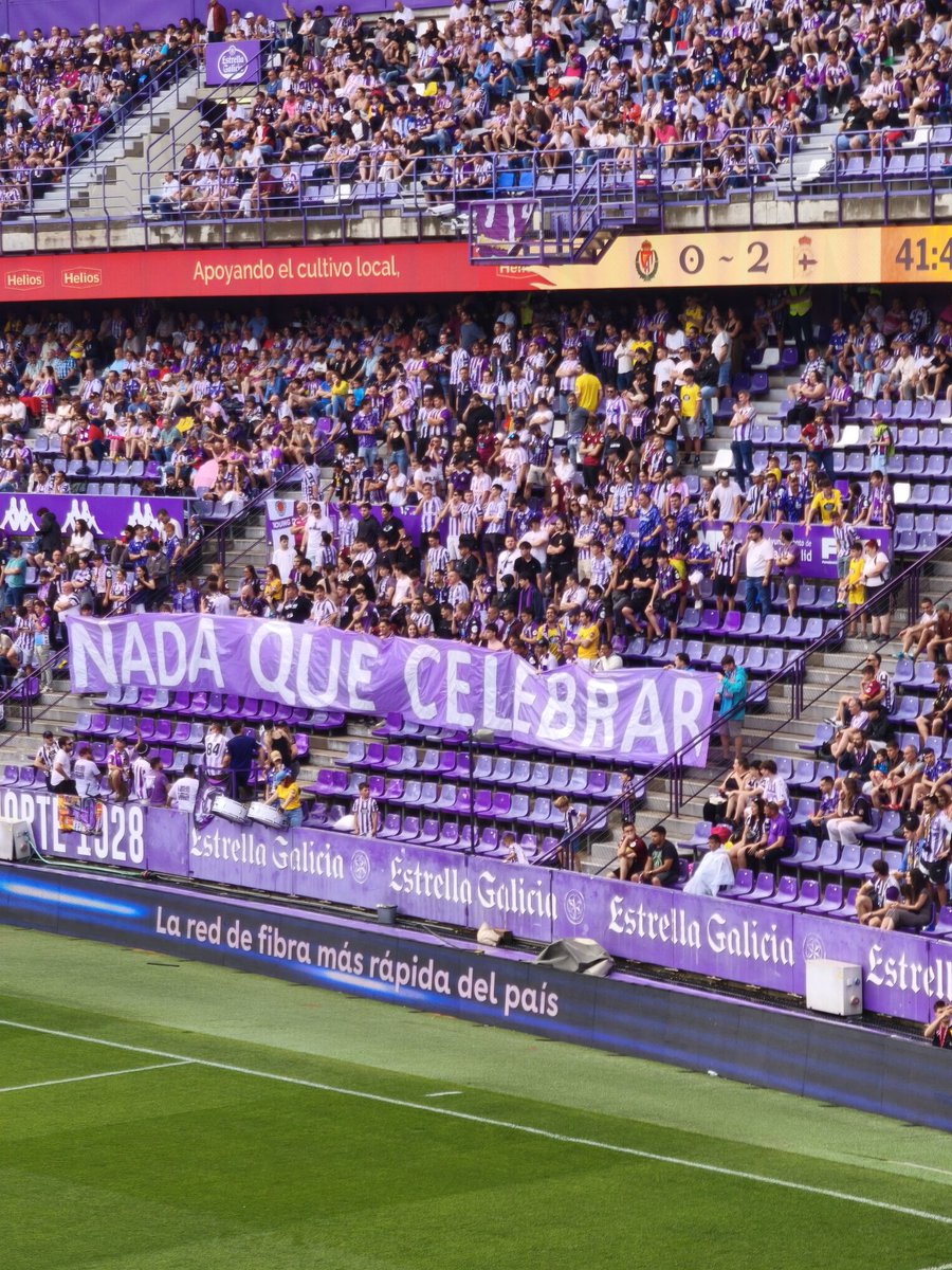 Pasión Violeta tweet media