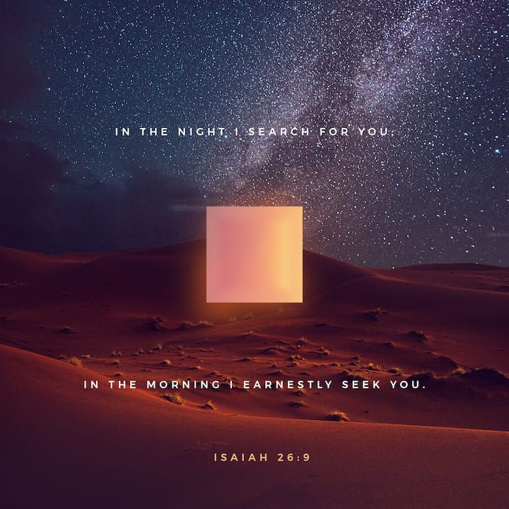 Aw73136607's tweet photo. Goodnight, Saints.  Heavenly Father, may you establish your standards in our lives.  Sweet blessed dreams. 🕊🕊🕊️ https://t.co/yKqV3o8cAD