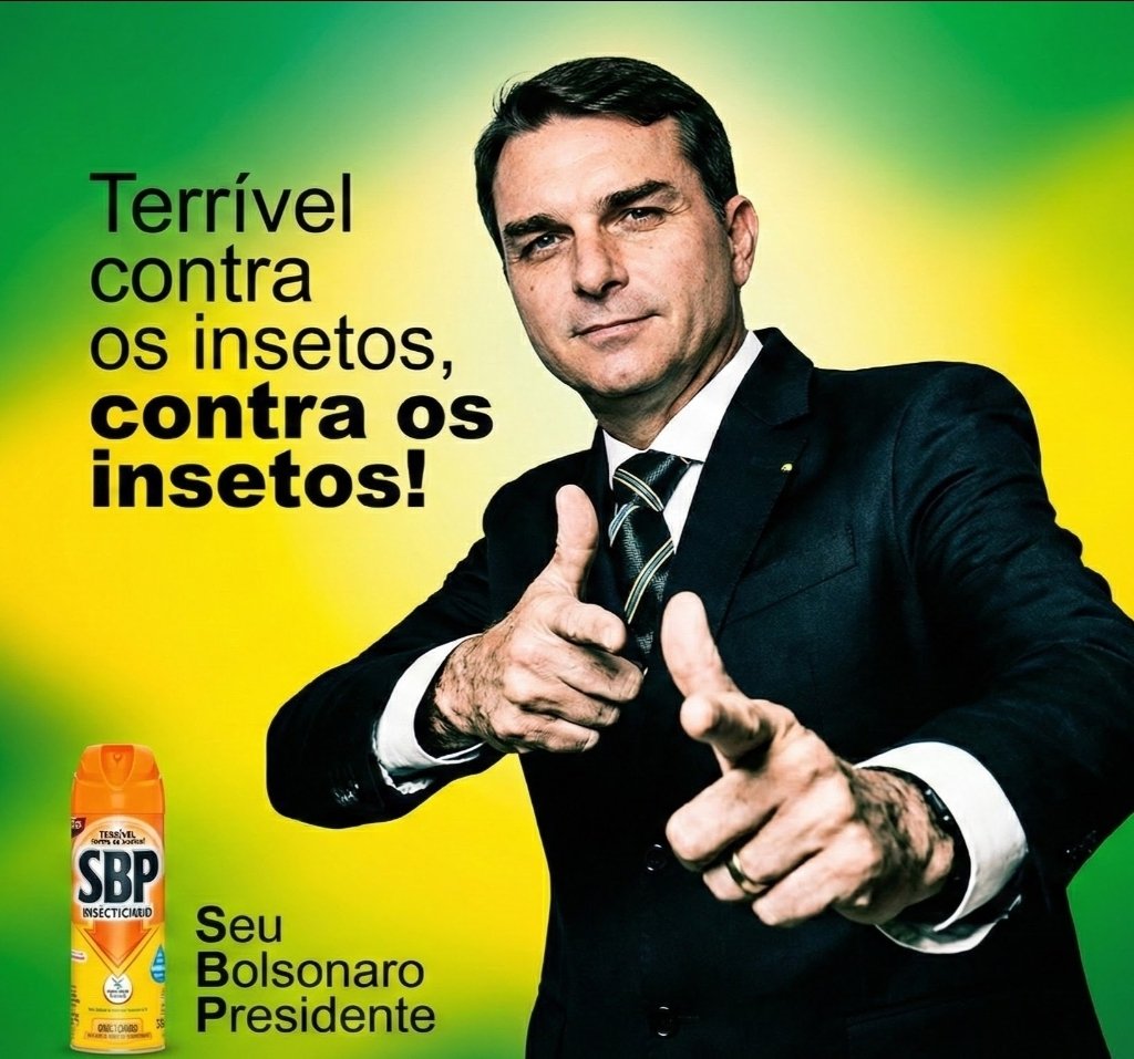 Voto em Flávio Bolsonaro 🇧🇷 tweet media