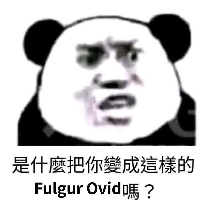 コットン tweet media