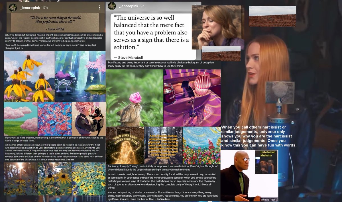 Ivan Vinarić tweet media