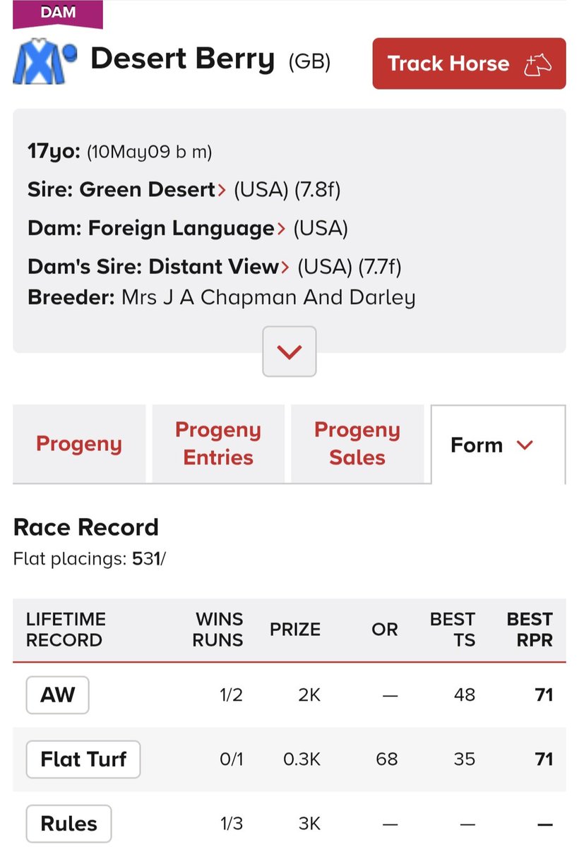 The 2000 Guineas tweet media