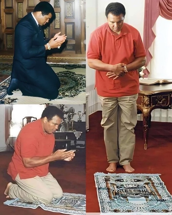 MuslimMatters tweet media