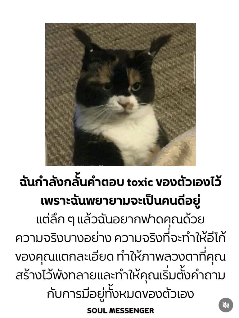Bella ☂️ (✱,✱) tweet media