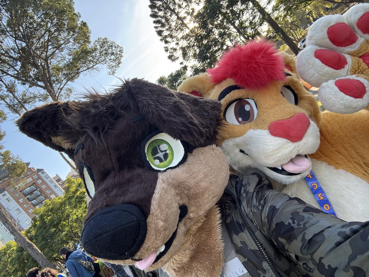 Ivofurry's tweet photo. Un par de fotitos de la meet de ayer :3
#furry #FursuitsEveryday https://t.co/VfzGLtmlLt