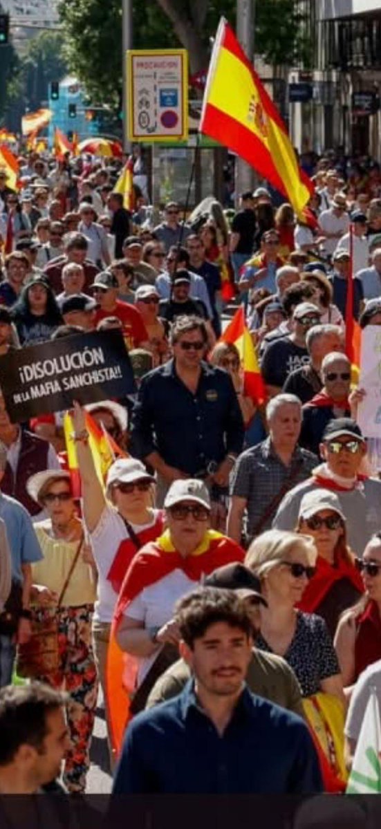 Guillermo Rocafort tweet media