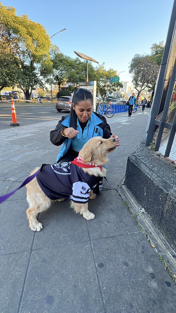 SomosPetsPlus's tweet photo. Hace fila con miel en #airbag #velez https://t.co/2s4LVfXCXL